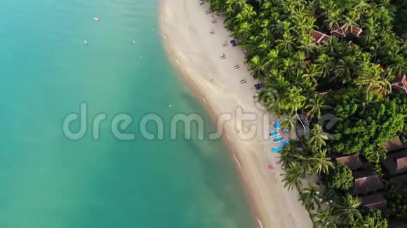 带棕榈的蓝色泻湖和沙滩可在沙滩上观看蓝色泻湖和太阳床椰棕和视频的预览图