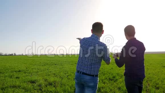 几个农民在田间使用数字平板电脑两个农民站在一块田里看着平板电脑他们是视频的预览图