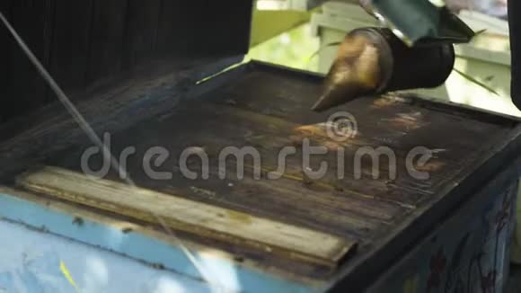蜂箱饲养员与蜂烟熏制蜂箱视频的预览图