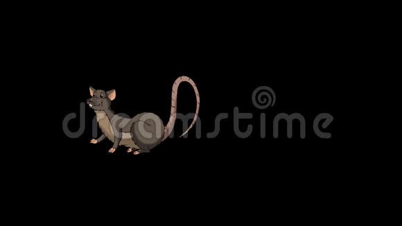 布朗老鼠睡着了醒来动画阿尔法马特视频的预览图