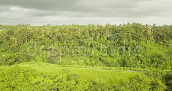 艺术家Ubud的足迹印度尼西亚视频的预览图