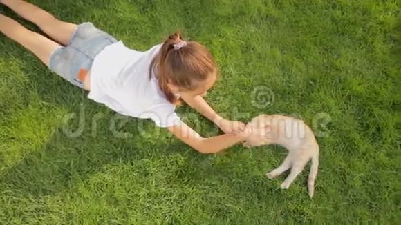 美丽的女孩躺在草地上和红色的小猫的俯视图视频的预览图