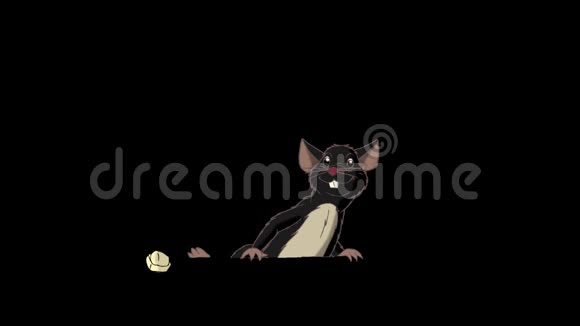 黑老鼠爬出来吃奶酪动画阿尔法马特视频的预览图