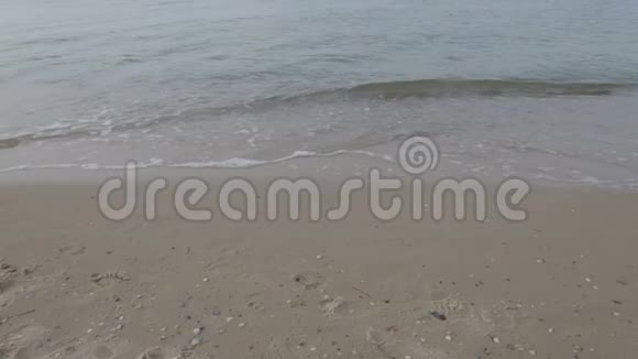 清晨人们在海滩上奔跑视频的预览图