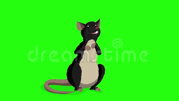 黑色老鼠坐着说话动画Chroma键视频的预览图