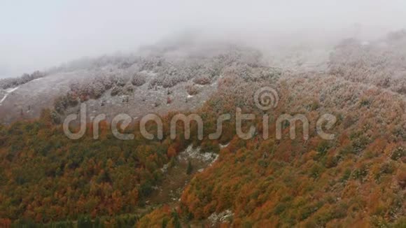 秋天或冬天秋天的森林和雪山视频的预览图