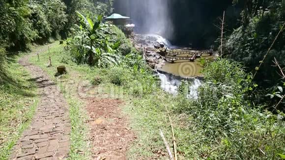 雨林中的瀑布倾斜起来视频的预览图