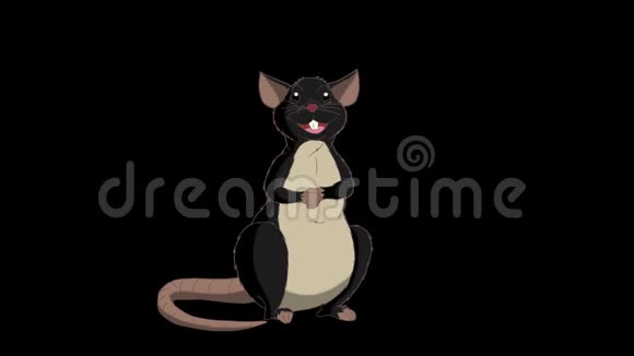 黑老鼠坐着笑动画阿尔法马特视频的预览图