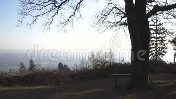 伦敦附近的英国乡村早春山榉木复制空间背景有长凳的老树山谷的景色视频的预览图
