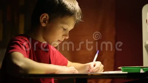 桌子旁的男孩在笔记本上写字视频的预览图