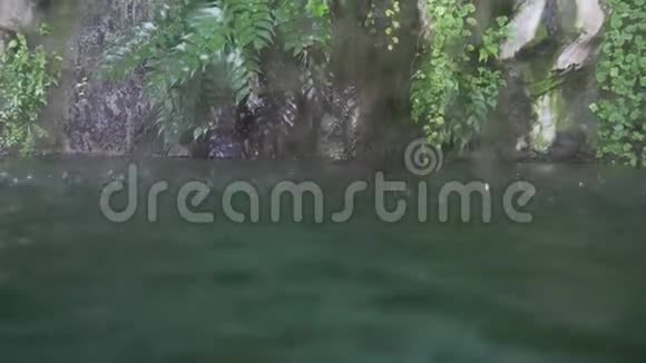 雨滴落入热带池塘从水下到陆地的过渡视频的预览图