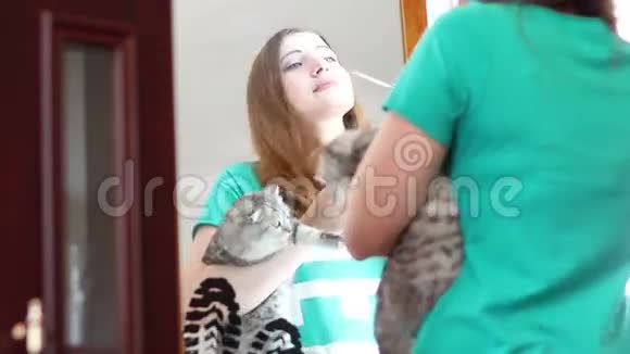 美丽的女孩在镜子前化妆抱着一只小猫视频的预览图