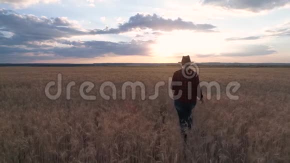 一个女农民在田里监视小麦作物后景慢速视频视频的预览图