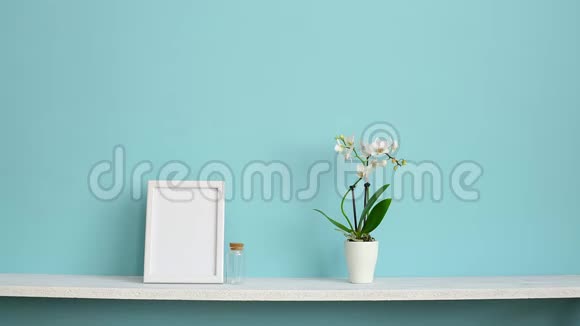 现代客房装饰与相框模型用盆栽兰花和手插做的白色架子搭在粉绿色墙上视频的预览图