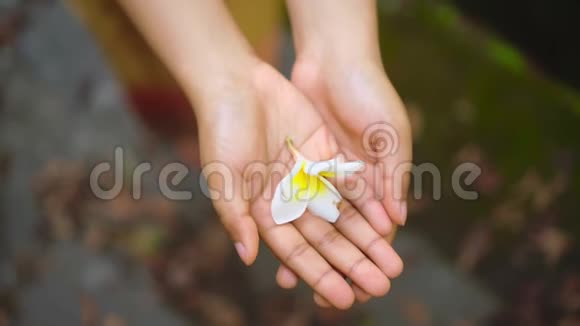女孩把白色的花放在手里把它放在张开的手掌里象征性的手势视频的预览图