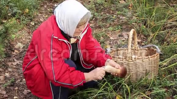 老年妇女发现了几种真菌视频的预览图