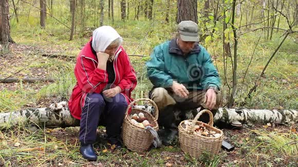 老年人在采摘蘑菇时交谈放松视频的预览图