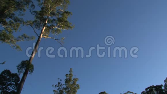 树盘丹德农山脉澳大利亚视频的预览图