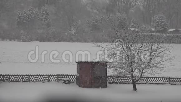 郊区后院的大雪纷飞视频的预览图