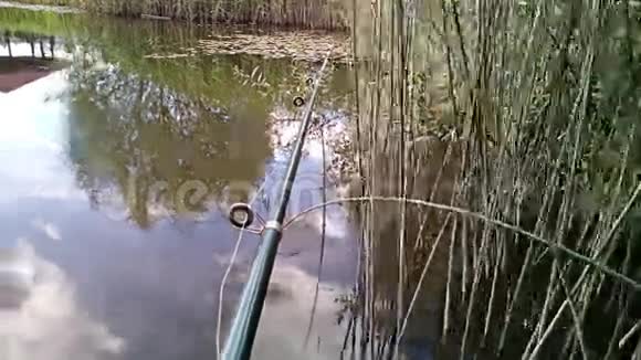 在池塘里钓鱼时光流逝视频的预览图