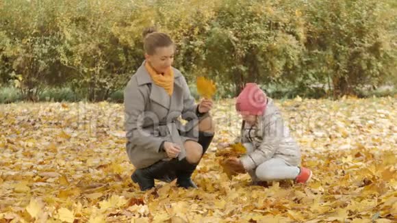 秋天在森林里母亲和孩子在一片黄色落叶的背景下视频的预览图