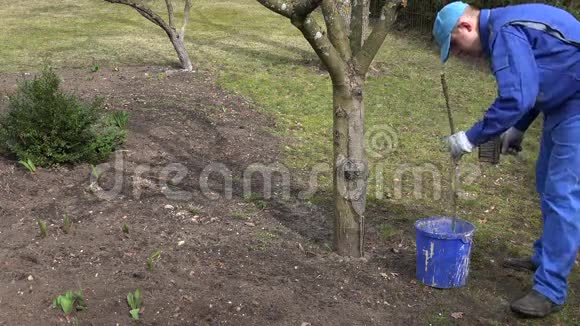 园丁男子在苹果果树附近的蓝色桶中混合粉饰液视频的预览图