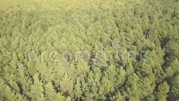 空中无人驾驶飞机飞过森林视频的预览图