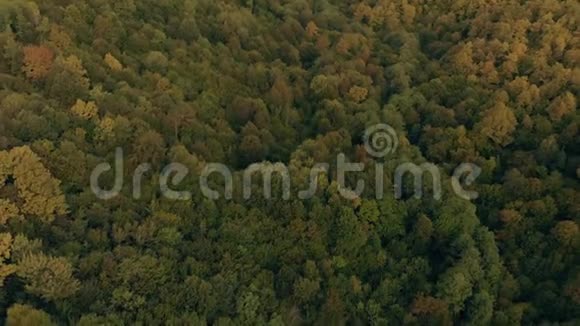 山脉和森林的空中景观视频的预览图