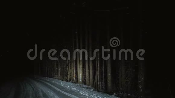 汽车在夜间行驶在雪林路上视频的预览图