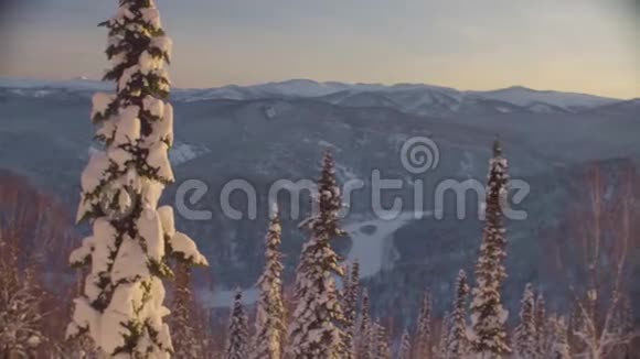 山上冬林日落视频的预览图