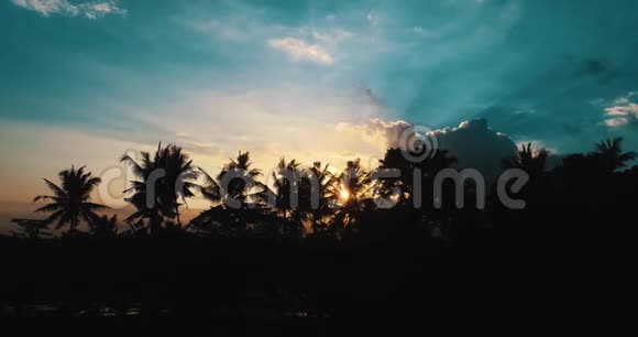 令人惊叹的多云日落的空中景色棕榈树的轮廓视频的预览图