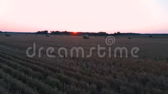 飞上田野干草卷日出海贝尔在4k雷亚尔德隆的射门视频的预览图