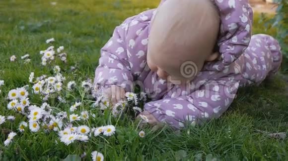 婴儿躺在青草和眼泪上视频的预览图