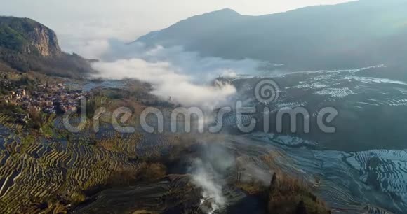 稻田上的动态薄雾视频的预览图