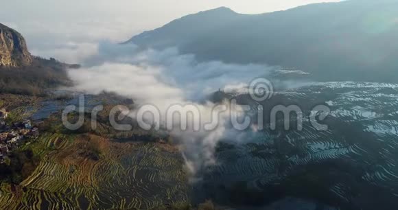 稻田上的动态薄雾视频的预览图