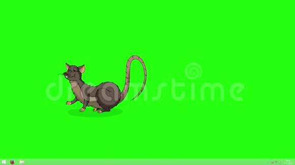 布朗老鼠睡着了醒来动画色度键视频的预览图