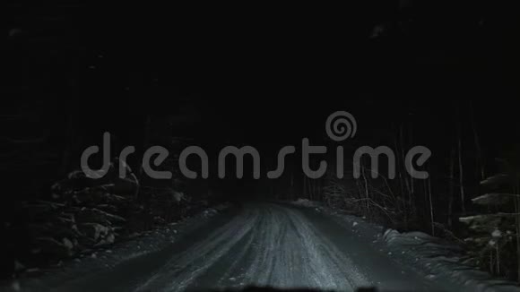 汽车在夜间行驶在雪林路上视频的预览图