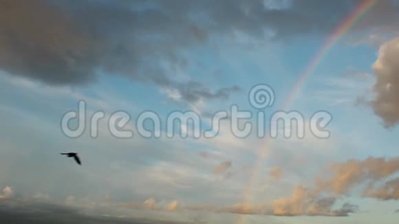 夜空中惊人的彩虹鸟儿在镜头前飞过天空视频的预览图