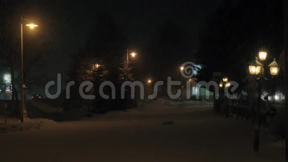 雪道夜景有杉树和灯笼视频的预览图