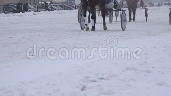 骑在赛马上的骑士在寒冷的冬天的河马场上小跑4K视频的预览图