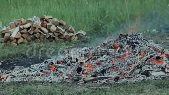 森林里燃烧的火视频的预览图