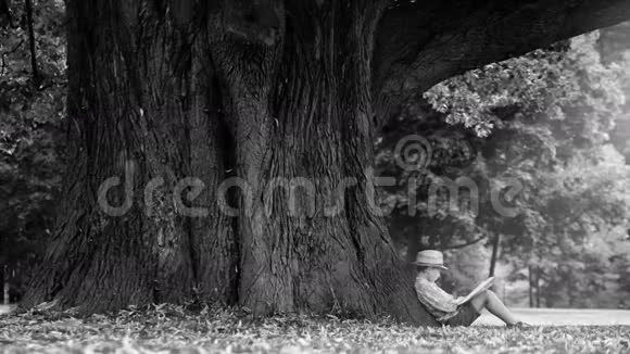 黑白视频一个男孩坐在大树脚下看书视频的预览图