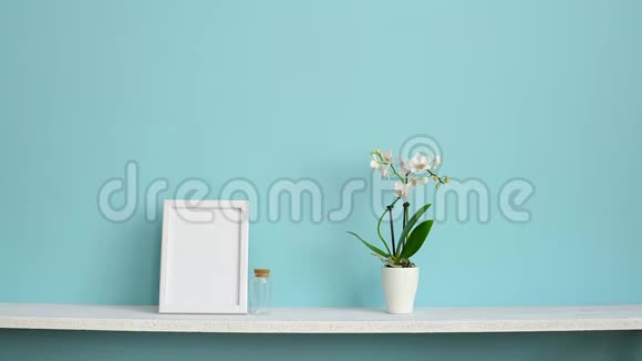 相框模型用盆栽兰花和手插做的白色架子搭在粉绿色墙上视频的预览图