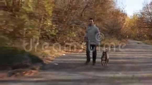 男子与狗慢跑秋季公园视频的预览图