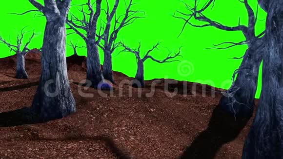 万圣节墓地活树绿幕3D渲染动画视频的预览图