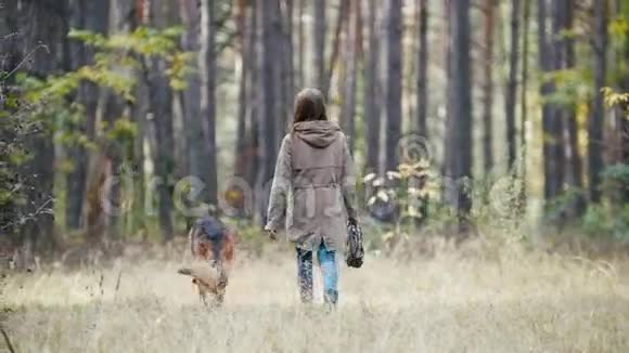 年轻可爱的快乐女人和她的狗德国牧羊犬在黄色秋天公园后景视频的预览图