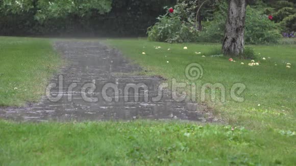 大雨水滴落在花园石材路面上雨天溅水4K视频的预览图