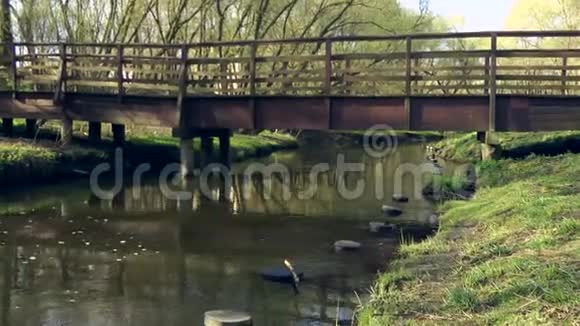 木桥穿过公园的路视频的预览图