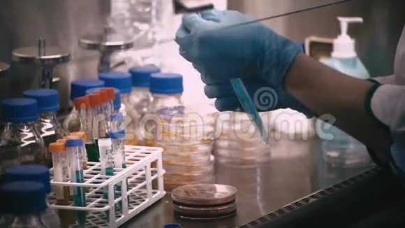 实验室内带环和培养皿的技术员医生用培养皿做尿培养的手视频的预览图