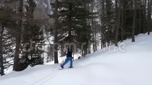 空中无人机飞行为滑雪者在雪地森林中滑雪奠定了基础山地的冬季雪视频的预览图